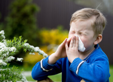 Hay Fever